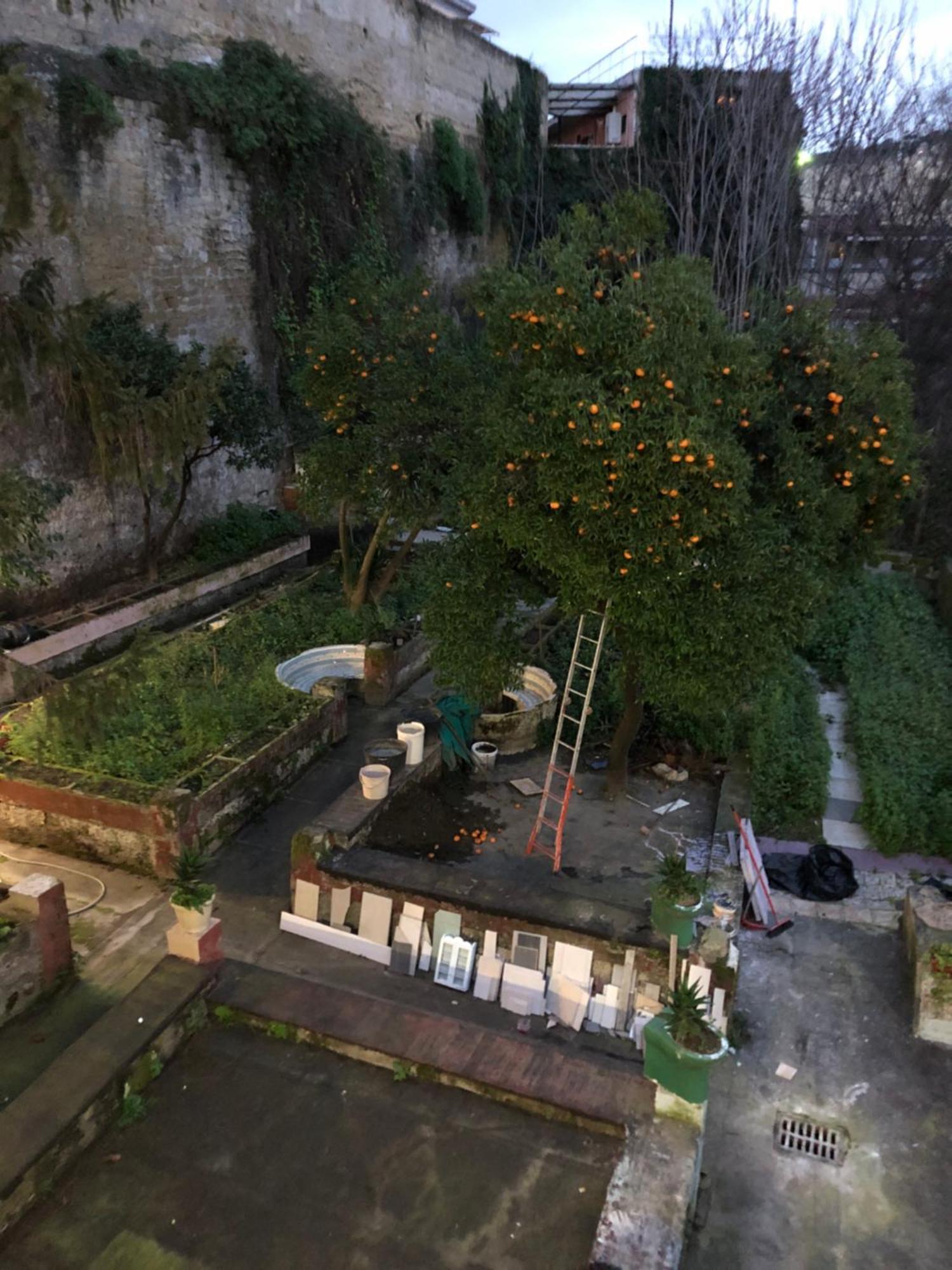 Casa Dea Napoli 아파트 외부 사진